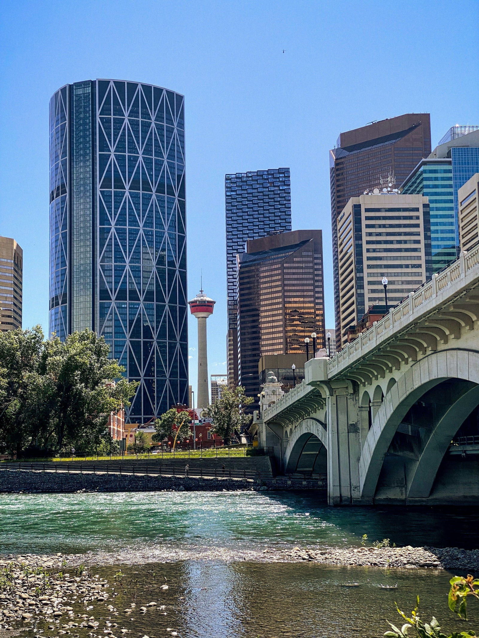 Calgary Skyline photo by Nataliia Kvitovska