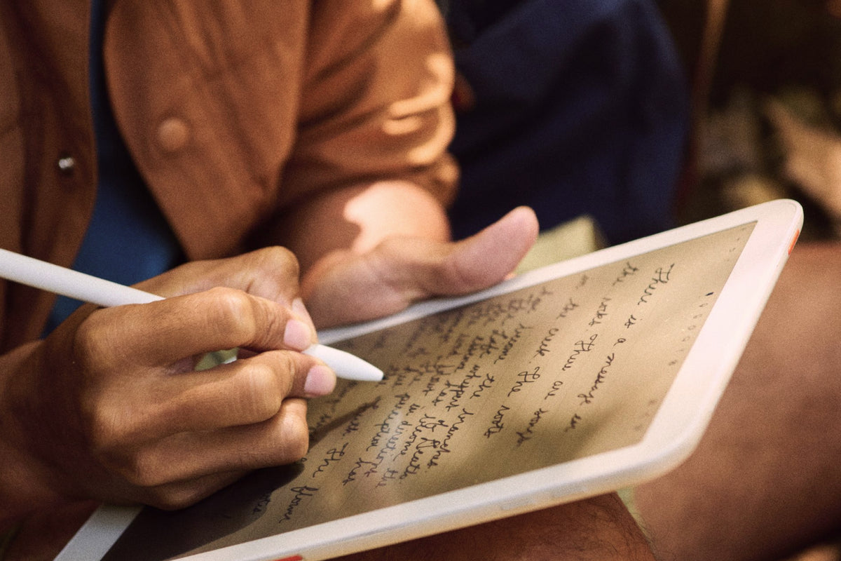 Daylight Computer DC-1