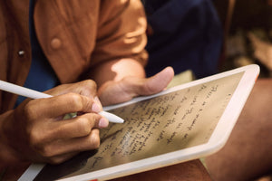 Daylight Computer DC-1