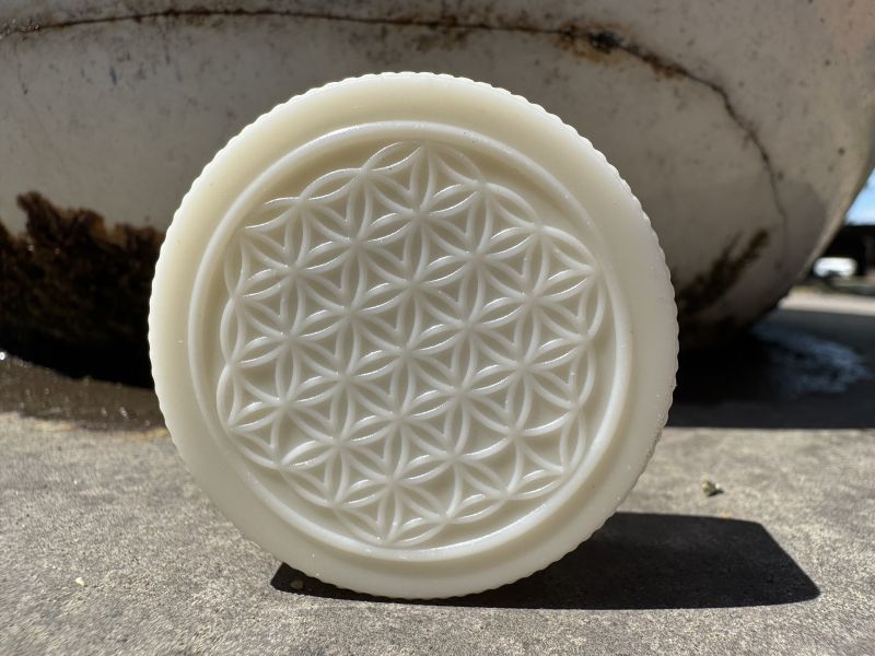 Bio Plastic Lid for Wide-Mouth Lagoena